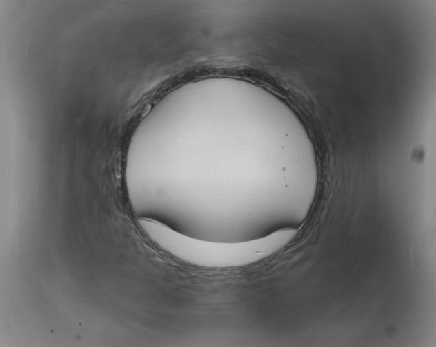 X0000114671301200911181157