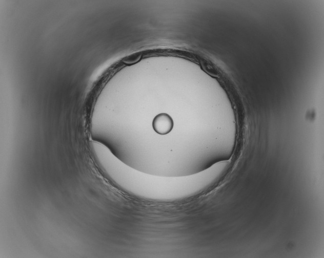 X0000114671310200911181157