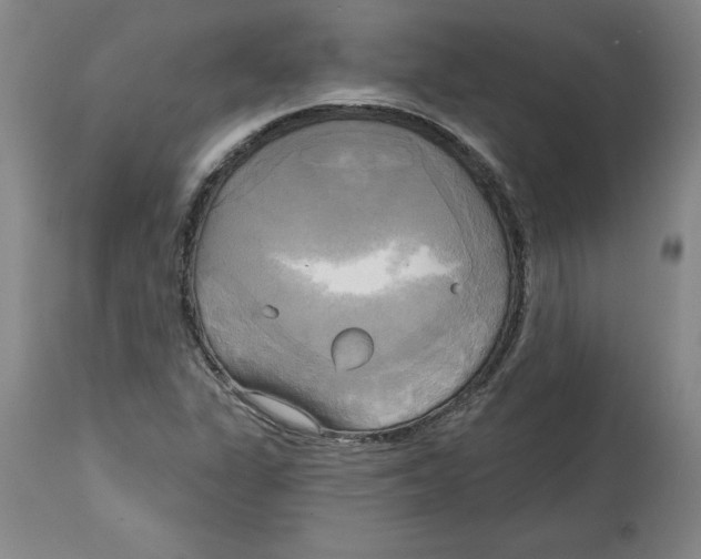 X0000114671311200911181157