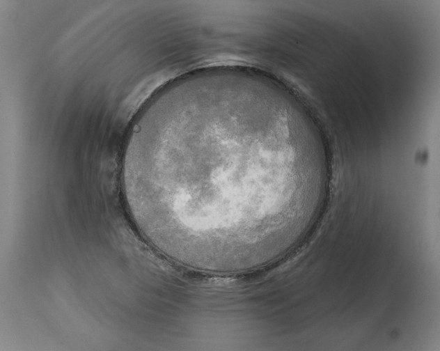 X0000114671313200911181157