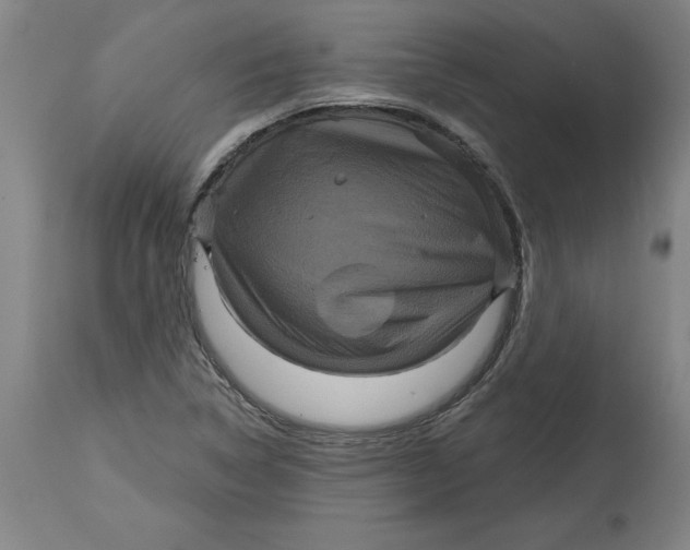 X0000114671314200911181157