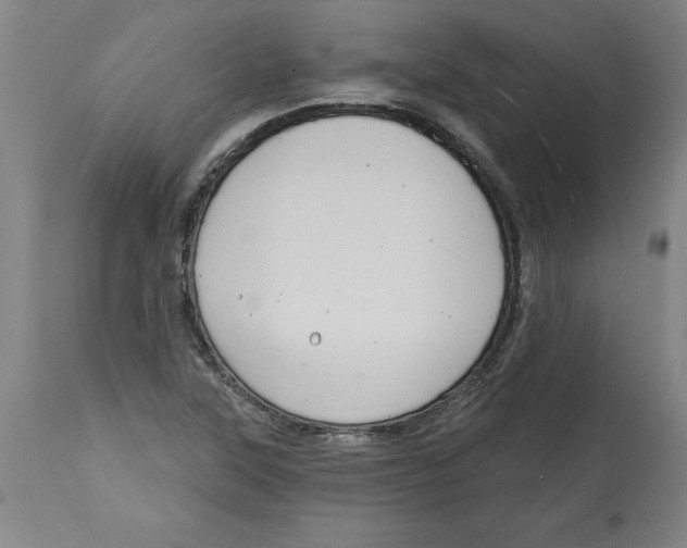 X0000114671315200911181157