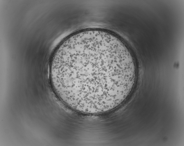 X0000114671317200911181157