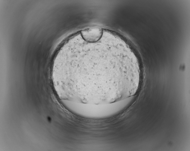 X0000114671318200911181157