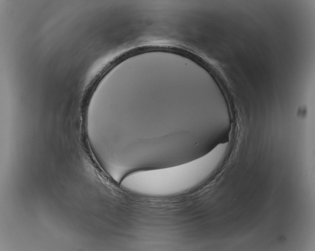 X0000114671319200911181157