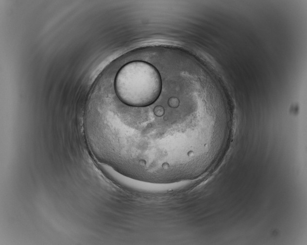 X0000114671321200911181157