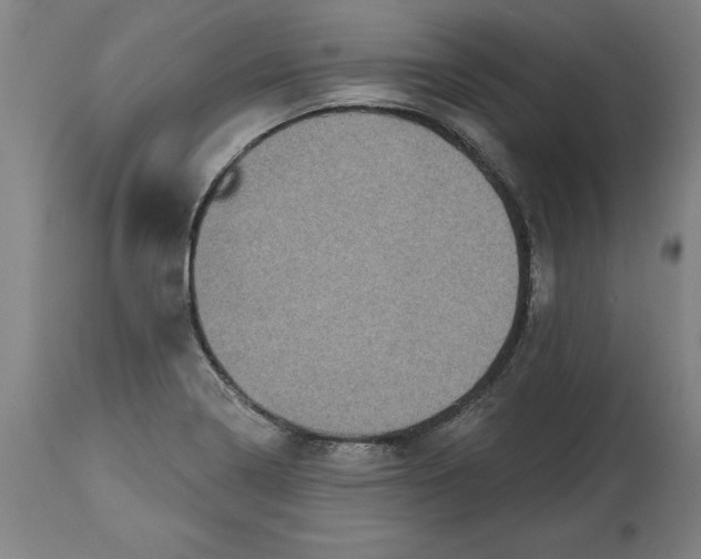 X0000114671322200911181157