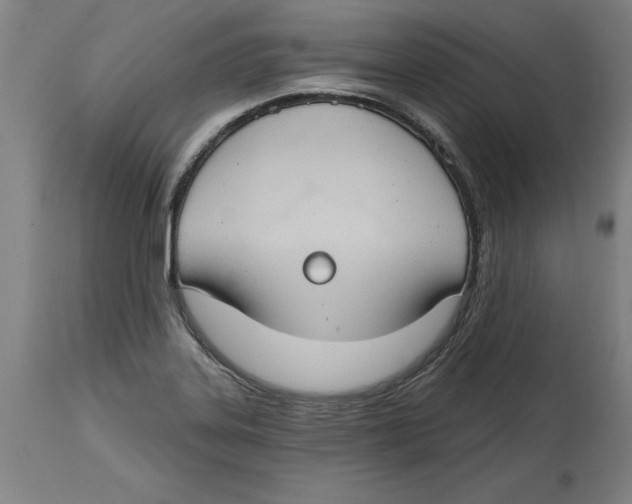 X0000114671323200911181157