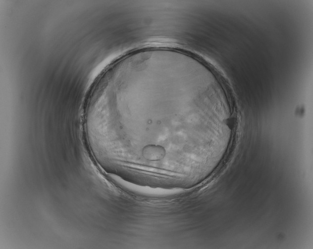 X0000114671325200911181157