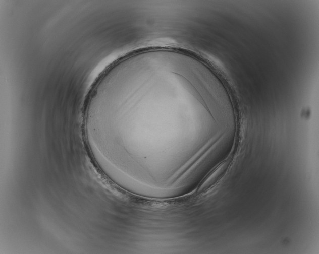 X0000114671326200911181157