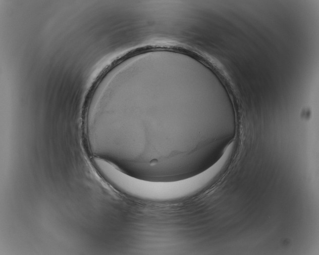 X0000114671327200911181157