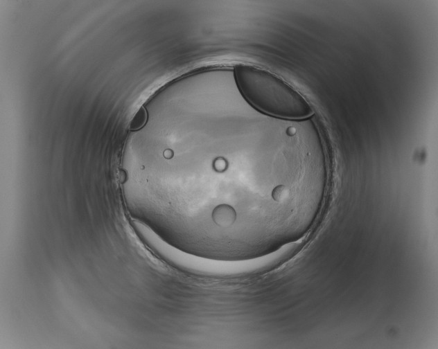 X0000114671329200911181158