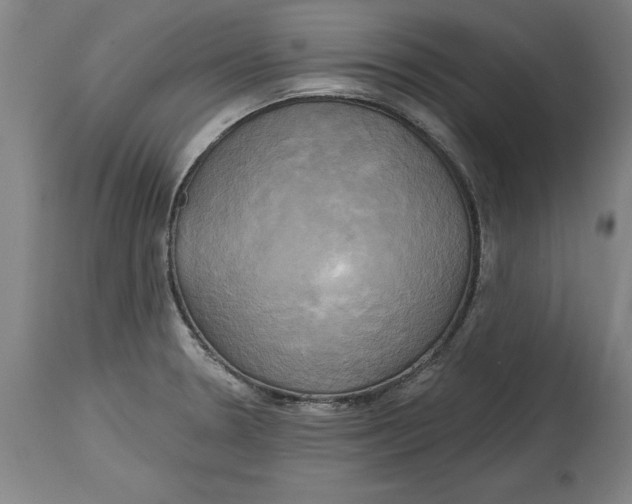 X0000114671330200911181158