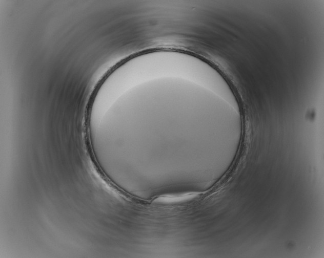 X0000114671331200911181158