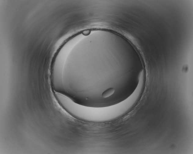 X0000114671334200911181158