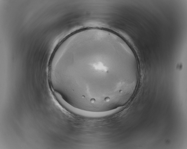 X0000114671335200911181158