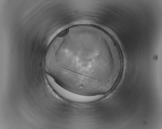 X0000114671337200911181158