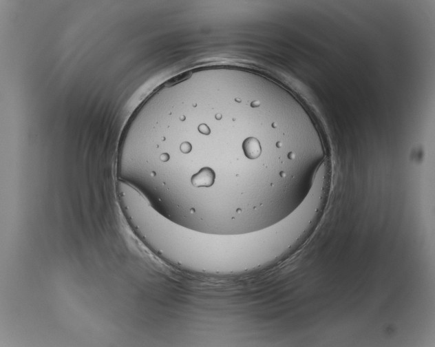 X0000114671338200911181158