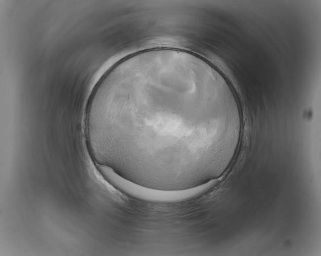 X0000114671339200911181158