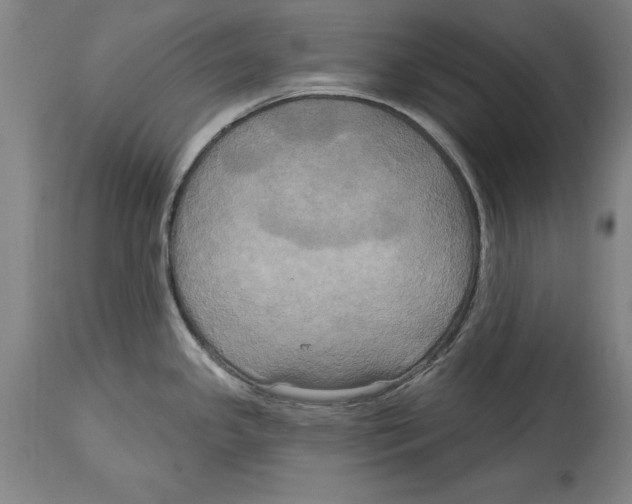 X0000114671341200911181158