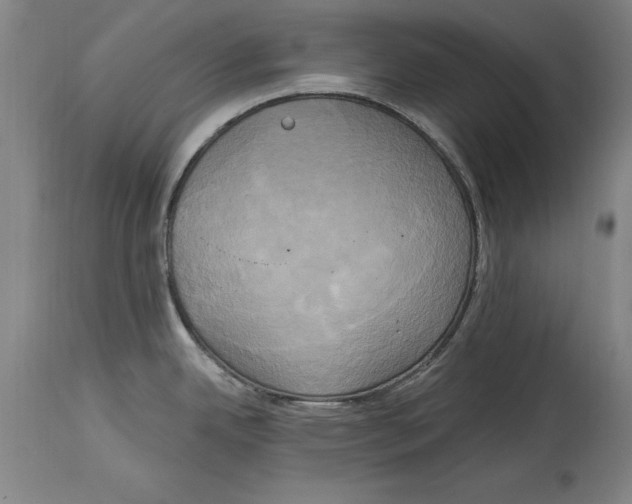 X0000114671342200911181158