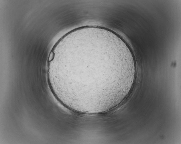 X0000114671343200911181158