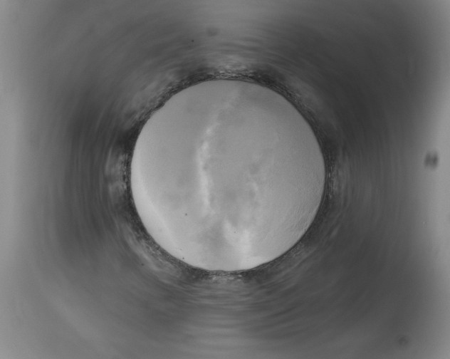 X0000114671346200911181157