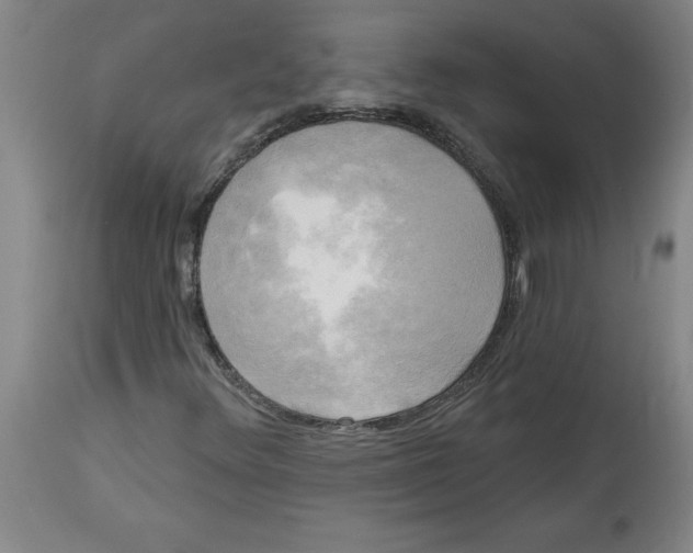 X0000114671348200911181157