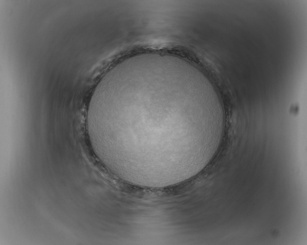 X0000114671349200911181157