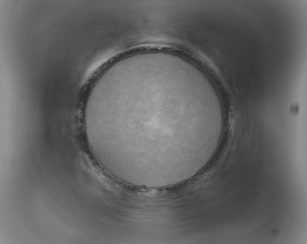 X0000114671352200911181157