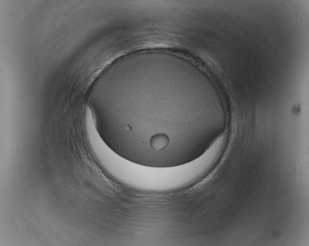 X0000114671353200911181157