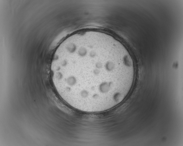 X0000114671355200911181157