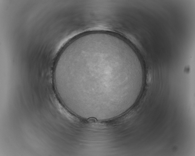 X0000114671356200911181157