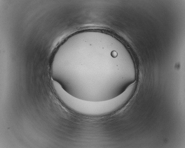 X0000114671357200911181157