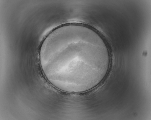 X0000114671358200911181157