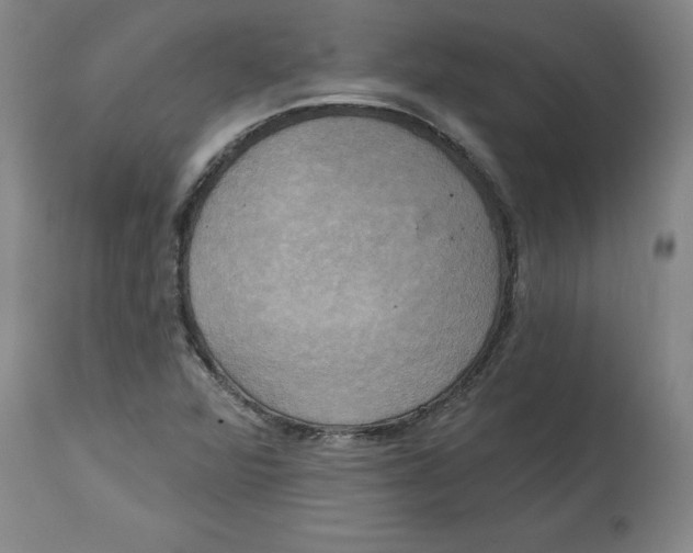 X0000114671360200911181157