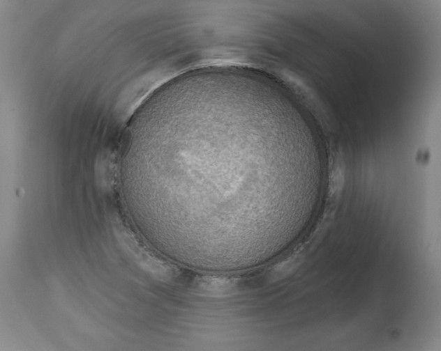 X0000114671361200911181157