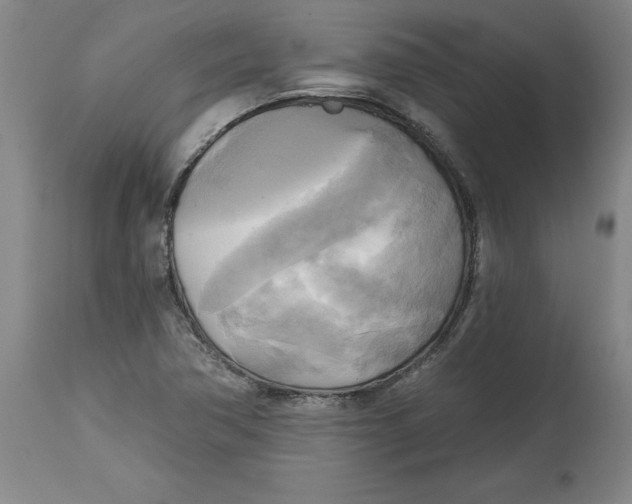 X0000114671362200911181157