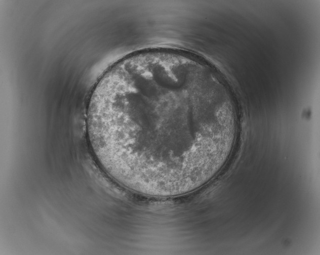 X0000114671363200911181157