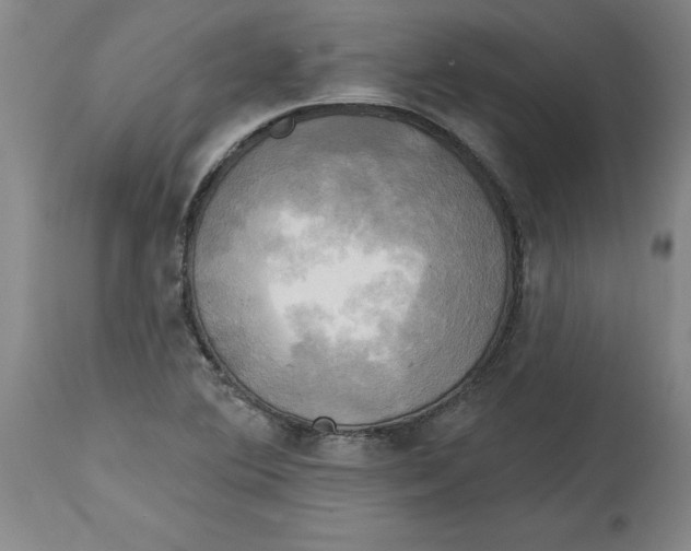 X0000114671364200911181157