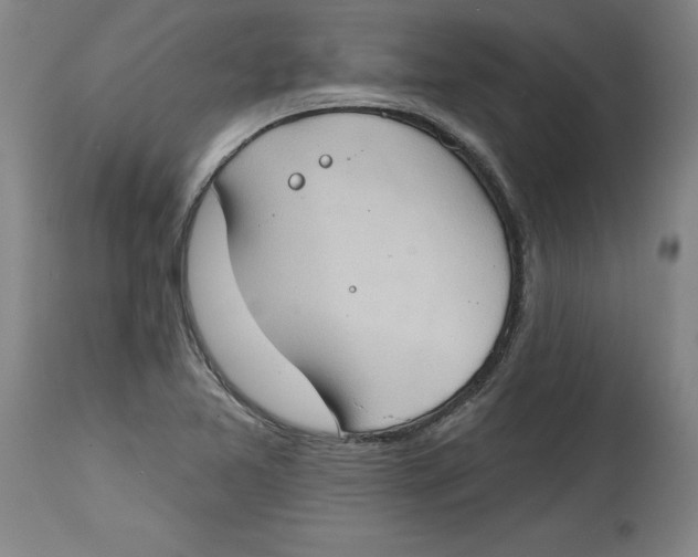 X0000114671365200911181157