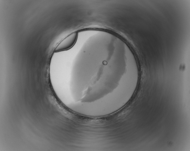 X0000114671367200911181156