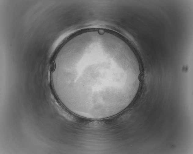 X0000114671368200911181156