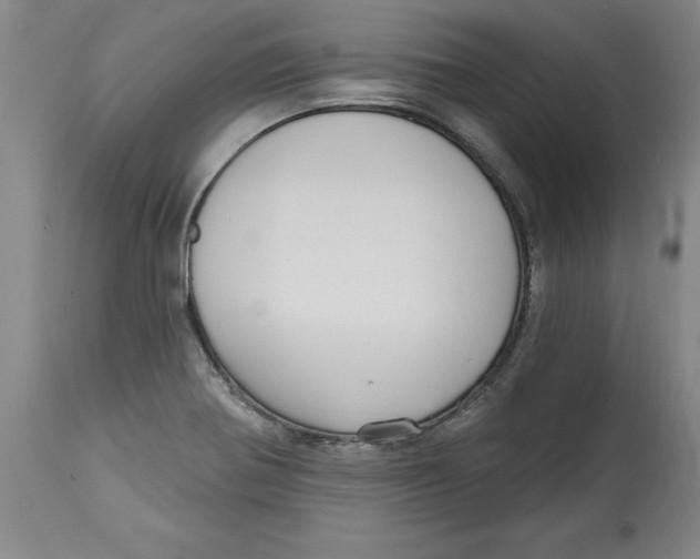 X0000114671370200911181156