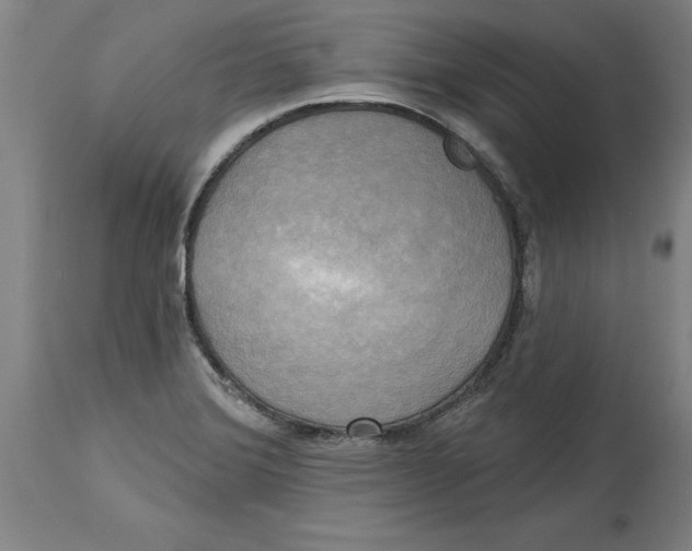 X0000114671372200911181156