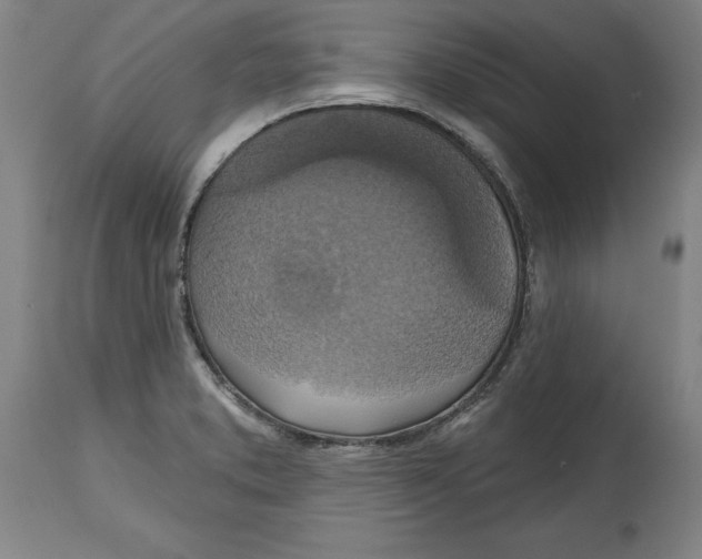 X0000114671373200911181156