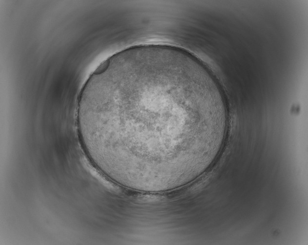 X0000114671374200911181156