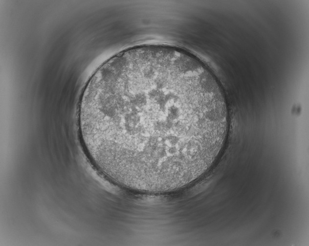 X0000114671375200911181156