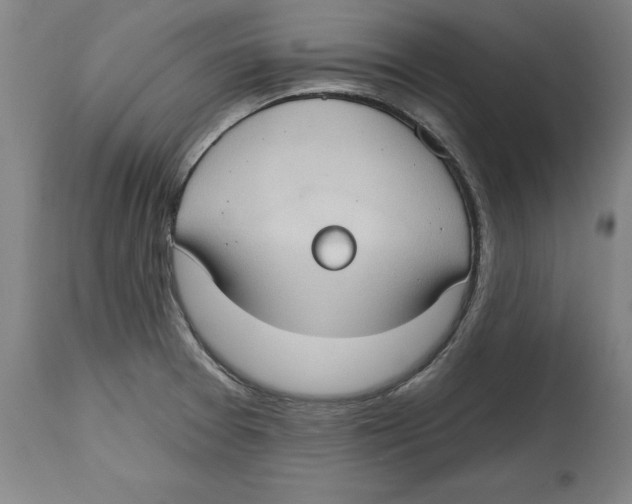 X0000114671377200911181156