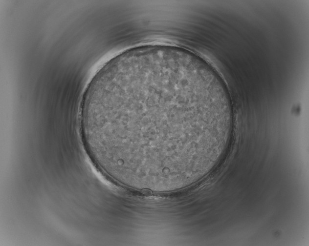 X0000114671379200911181156